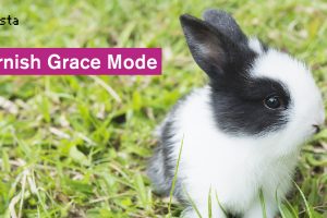 Varnish Grace Mode